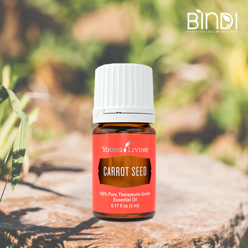 Carrot seed
(semilla de zanahoria)